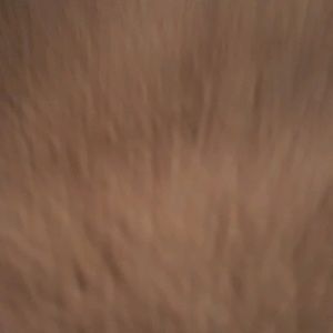 Meet your Posher, Aimee